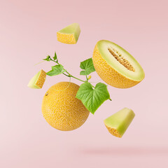 Fresh ripe Galia Melon with green leaves falling in the air isolated on pink background