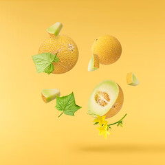 Fresh ripe Galia Melon with green leaves falling in the air isolated on yellow background
