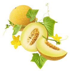 Fresh ripe Galia Melon with green leaves falling in the air isolated on white background