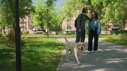 casual stroll in sunny park, skilled individuals casually walk with pet through shaded greenery, young experts enjoy leisurely walk with their canine beneath leafy branches in sunshine