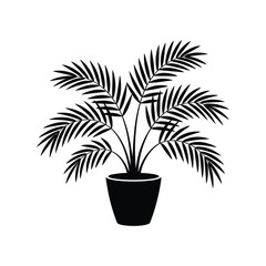 Palm plant in a modern black ceramic pot, silhouette vector design on a white background