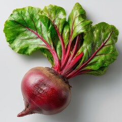 Freshly harvested raw beetroot with lush green leaves and red veins on clean white background