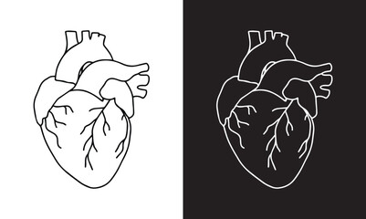 Illustration of the Human Heart in engraving technique with star rays. including labels for all the main structures. Hand drawn line art for tattoo, tee shirt and print design. eps file.
