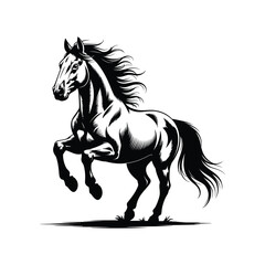 powerful horse in motion, silhouette vector design on a white background