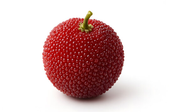 Vibrant red bayberry fruit isolated on clean white background sweet tart antioxidant berry concept