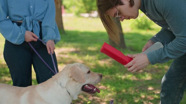 labrador retrieves toy outdoors, retriever and assistant engage in recreational fetch activity in park, labrador and helper demonstrate game of retrieve with red dummy toy in lush park environment