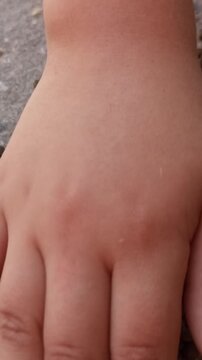 Manual Pod Shelling and Seed Selection of Huizache (Vachellia farnesiana) for Sowing