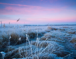 Obraz premium Frost covered winter meadow at sunrise with pink and blue sky