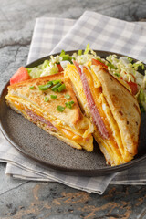 One-Pan Egg Sandwich with ham and cheese closeuo on the plate on the table. Vertical