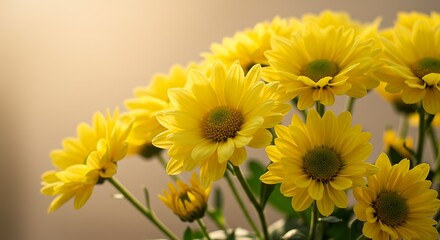 Close-up of a vibrant bouquet of yellow chrysanthemums with soft lighting.
