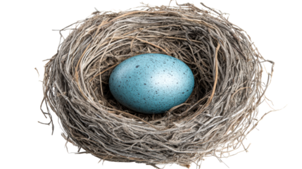 Single robins egg with speckled blue shell rests securely in a natural twig nest, representing new beginnings and natures delicate creations for spring themes.