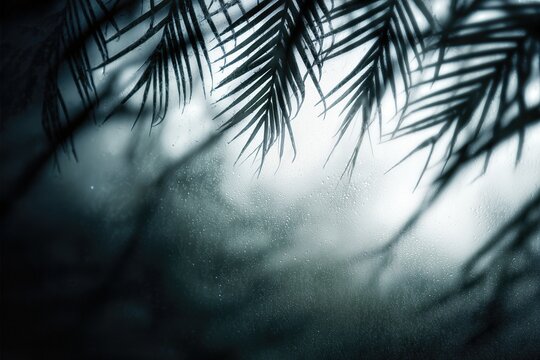 Palm Leaves Silhouetted Against Rainy Glass. Tropical Jungle Atmosphere Background