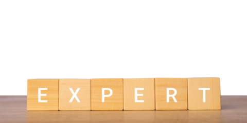 Wooden blocks with word expert for professional skills concept, isolated on transparent background