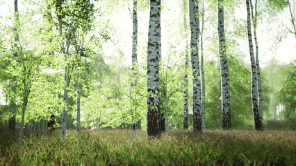 Obraz premium Tall birch trees stand gracefully in a vivid green forest, surrounded by soft grass and gentle sunlight. The atmosphere is calming, inviting nature lovers to explore its beauty.