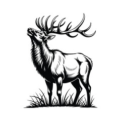 Elk standing in tall grass, silhouette vector design on a white background