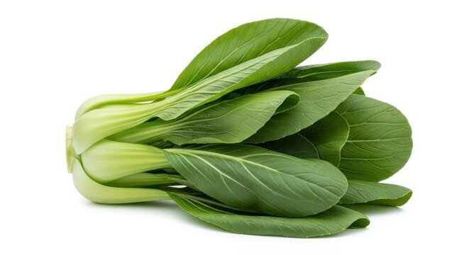 Fresh bok choy vegetable isolated on white background for cooking use