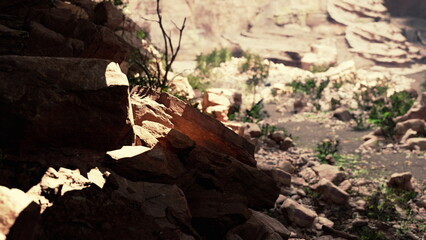 Sunlight filters through a canyon, casting warm hues on rugged rocks. Lush greenery peeks through the dry terrain, creating a contrast between life and stone in this serene landscape.
