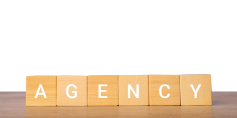 Wooden blocks with word agency for business service concept, isolated on transparent background