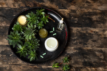 Natural Succulent and Cosmetic Products on Rustic Wooden Table