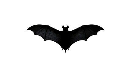 Silhouette of a black bat with wings spread wide on a white background
