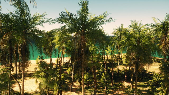 Tall green palms reach toward the blue sky, their fronds dancing in the warm breeze. The turquoise waters lap lazily at a secluded sandy beach, creating a tranquil escape.