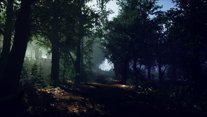 Fototapeta premium Sunlight filters through dense foliage in a serene forest setting, creating a mystical atmosphere. A narrow path leads deeper into the green, inviting adventure and discovery among trees.