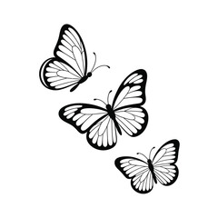 Three delicate black and white butterflies in flight