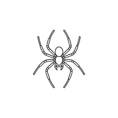 Minimalist line art drawing of a spider on a white background