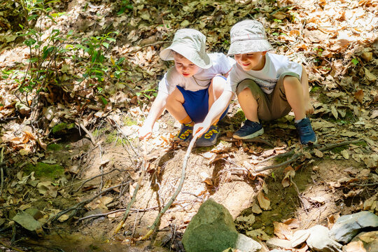 Two boys are playing with sticks by the river in the forest.