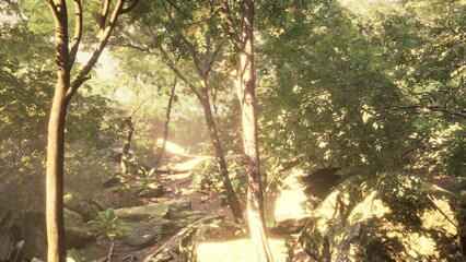 Soft morning light pours through lush green trees along a peaceful forest path. The air is fresh and vibrant with nature, inviting exploration and calmness in the wilderness.