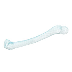 Human Bone 3d render wire frame