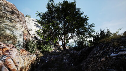 A peaceful scene unfolds along a winding path surrounded by large stones and lush vegetation. A magnificent tree stands tall, offering shade in this tranquil outdoor setting.