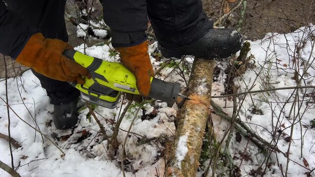 cutting trees with a reciprocating saw