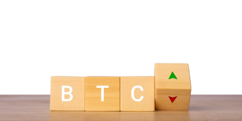 Wooden blocks with BTC letters and up down arrows for bitcoin price concept, isolated on transparent background