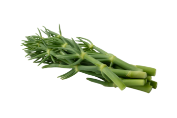 Fresh green samphire vegetable isolated on transparent background