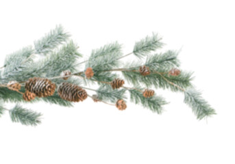 Frosted fir branch with multiple pine cones isolated on white background, pale green needles and brown cones covered with delicate frost, natural winter composition perfect for Christmas greeting card