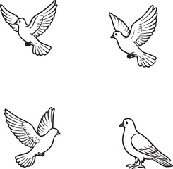 Obraz premium Flying Dove Line Art Set - Peace Bird Vector Collection