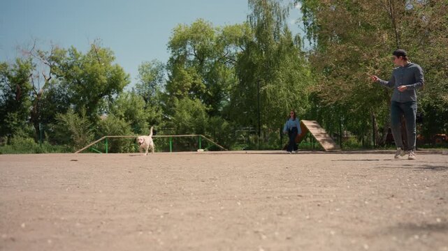 labrador participating in recall practice outdoors, handler and retriever practicing agility in open field, canine and trainer engaged in active training with obstacle course in background