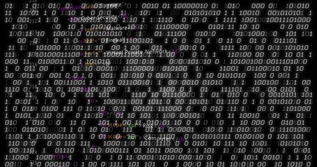 Displaying rows of binary digits filling center of dark digital field, with labels and markers