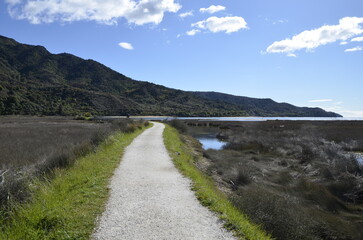 a long trail leading to the mountains in the northern island of New Zealand, in the spring. 