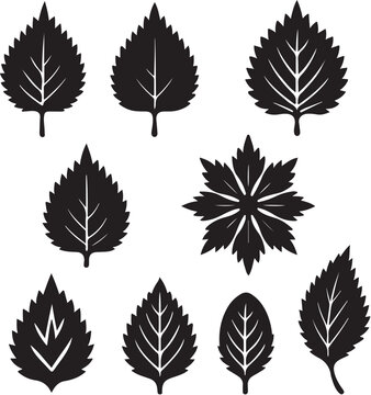 Perilla Leaf Silhouette Icon Set.eps