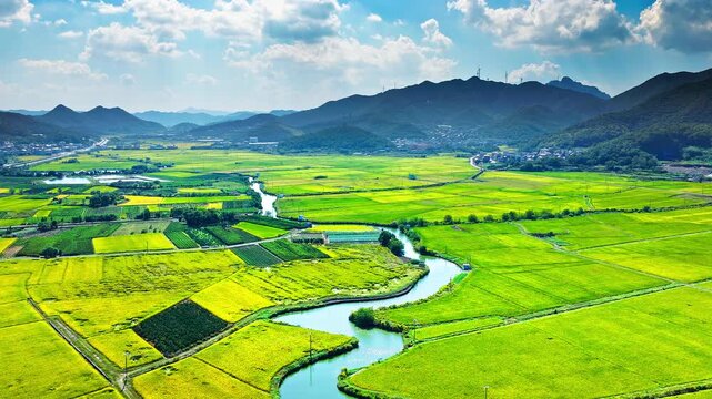 Aerial shot of winding river flowing through green and yellow agricultural fields with mountain natural landscape in summer