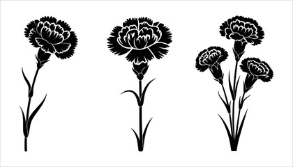 Black silhouette of three carnation flowers and stems on a white background vector