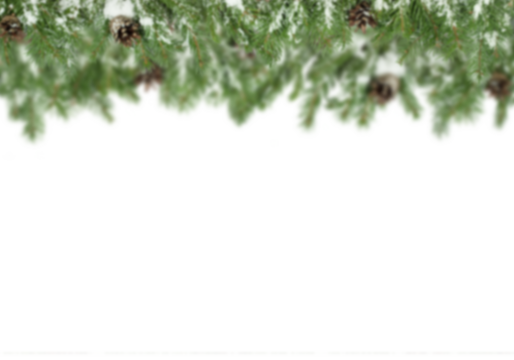 Soft focus fir branches with snow and pine cones forming horizontal garland along top edge on white background, slightly blurred evergreen winter border with copy space for Christmas greeting cards, 