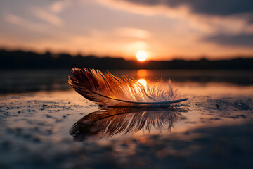 a feather is laying on the ground at sunset