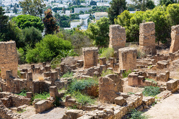 Ruins of the ancient city of Carthage