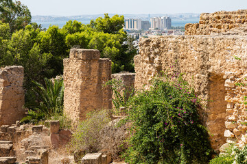 Ruins of the ancient city of Carthage