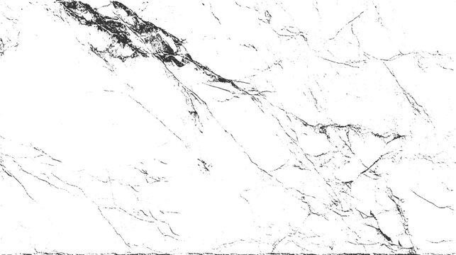 Black and white textured background with abstract linear patterns and speckles vector