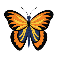 Bold Butterfly with Layered Wings on White Background