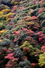 箕面の滝の風景